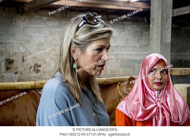 Queen Maxima of The Netherlands visits corn farmers in Lampung, Indonesia, 12 February 2018. Queen Maxima visits Indonesia as United Nation Secretary Generals...