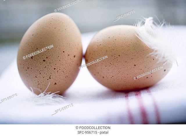 Two brown eggs with feathers on tea towel