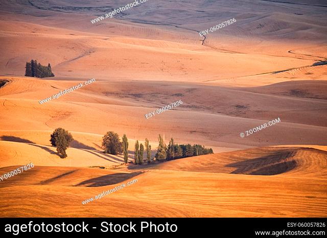 A view of the Palouse from the top of Steptoe Butte in eastern Washington, USA