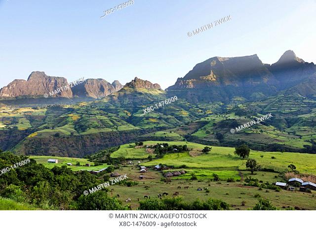 Landscape near the escarpment of the Simien Mountains close to the Simien Mts  National Park near the village of Mekarebya at an elevation of about 2300m during...