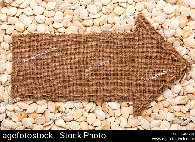 Pointer of burlap lies on sunflower seeds, with place for your text