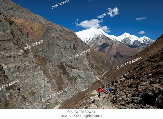 Trekking in the Kagmara Valley in the remote Dolpa region, Himalayas, Nepal, Asia
