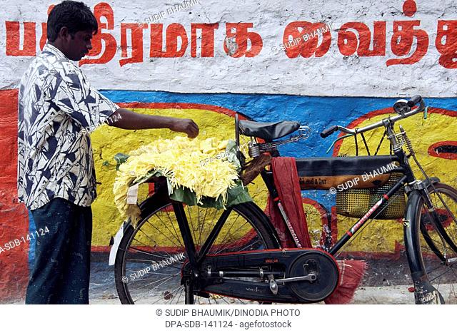 Jackfruit sale on bicycle ; Kurtallum ; Tamil Nadu ; India
