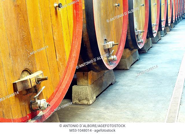 large size wooden aging barrells in a large underground winery