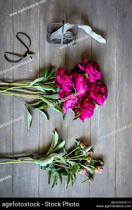 Scissors, ribbon and freshly cut peonies lying on wooden surface
