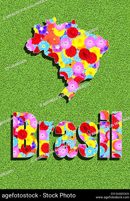 outline and written word of Brazil, Brasil, with colorful flowers on a green meadow, graphic, writing