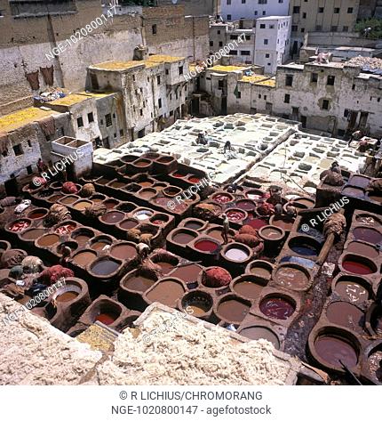 Tannery, Fes, Morocco