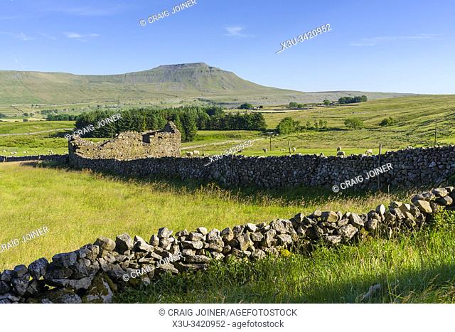 Ingleborough in the Yorkshire Dales National Park, North Yorkshire near Chapel-le-Dale, England
