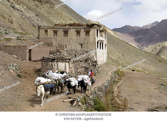 maison isolee , Yurutse, a proximite de Rumbak, ladakh, jammu et kashmir, inde, asie