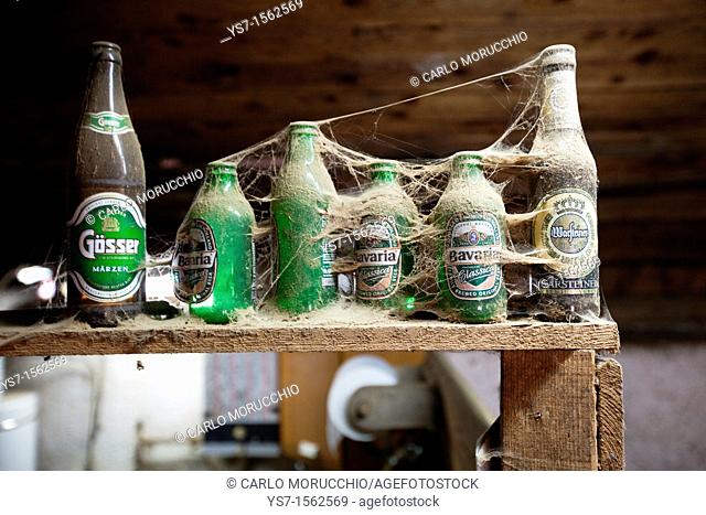 Empty and dusty beer bottles on a shelf in a cattle shed in the Dolomites, Belluno, Italy, Europe