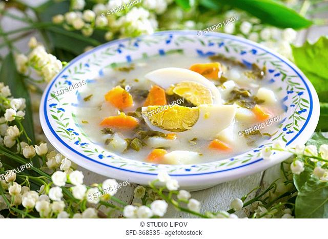 Sorrel soup with boiled egg