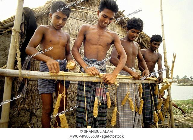 Shrimp farmers making preparations for weaving a net Khulna, Bangladesh