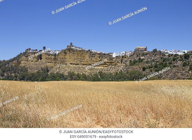 Panorama of white village Arcos de la Frontera, Andalusia, Spain. Image taken from wheat fields
