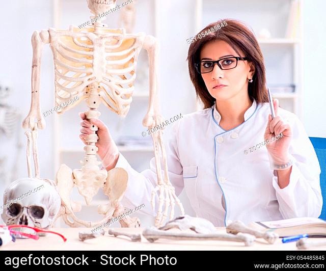 The doctor working in the lab on skeleton