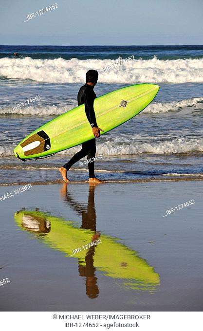 Surfer with surfboard, Main Beach, Surfers Paradise, Gold Coast, New South Wales, Australia