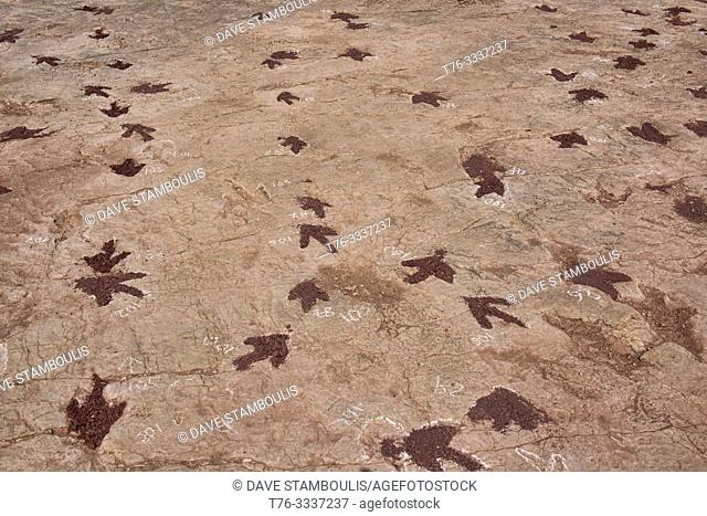 Dinosaur footprints in Torotoro National Park, Torotoro, Bolivia