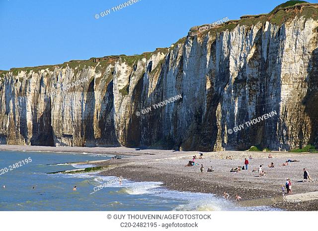 Chalk Cliffs, and pebble beach, Veules les Roses, 76980, Normandy, France