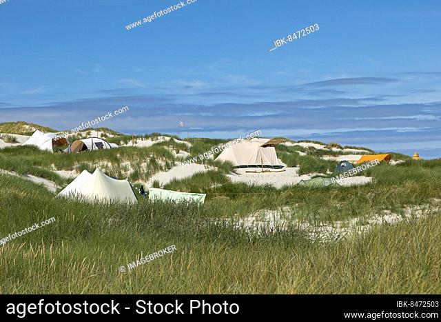Campsite in the dunes, Amrum Island, North Frisia, Schleswig-Holstein, Germany, Europe