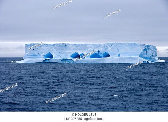 Blue Antarctic iceberg under clouded sky, South Shetland Islands, Antarctica