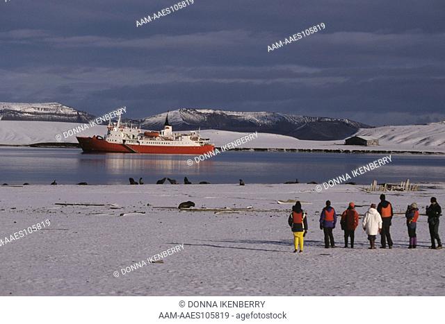 M S Disko & Passengers & Antarctica Fur Seals, Deception Island, Antartica