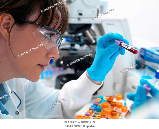 Female scientist examining blood sample ready for testing in laboratory