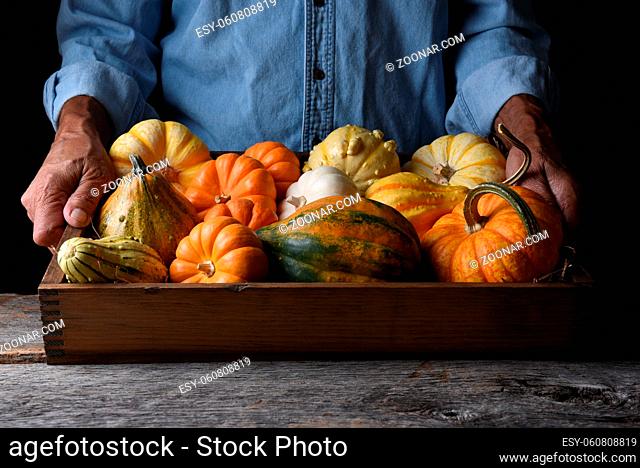 Farmer at his stand holding a wood crate of Autumn vegetables and decorative gourds and pumpkins
