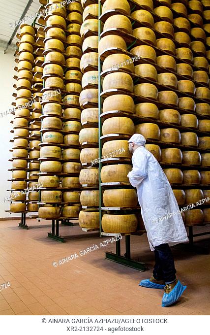Parmigiano Reggiano cheese producer factory in Baganzolino, Parma, Emilia Romagna, Italy