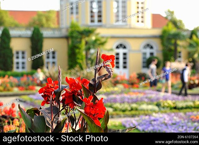 Flowers in Herrenhausen Gardens Hanover Germany