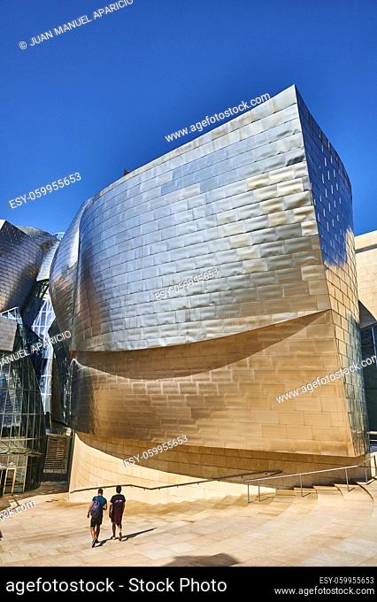 Architectural detail of the Guggenheim museum, Bilbao, Biscay, Basque Country, Spain