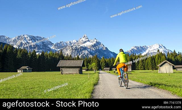 Mountain biker on road through meadow with hay barns, behind snowy mountain peaks in spring, Mieminger Kette with Ehrwalder Sonnenspitze, Ehrwald, Tyrol