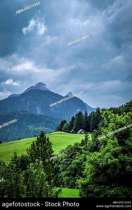 Karwendelspitze and alpine meadows under a dramatic sky