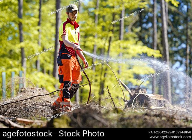23 April 2020, Baden-Wuerttemberg, Heidelberg: Marvin Müller, an employee at the Heidelberg forestry office, irrigates young trees in a forest clearing