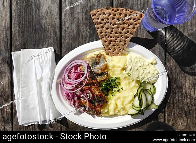 A plate of typical Swedish fried herring with mashed potatoes and a cracker