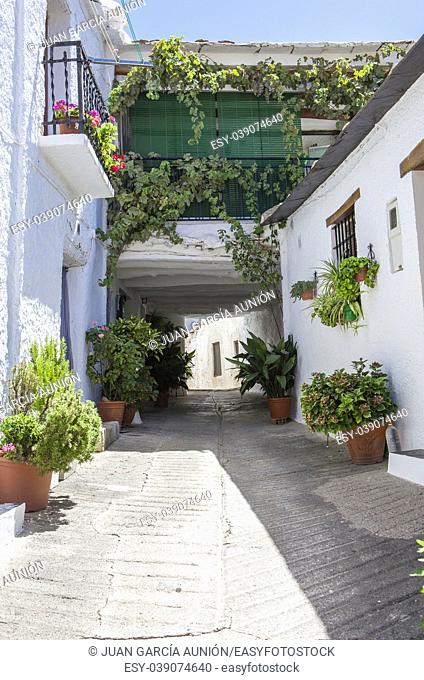 Traditional alley called tinao . Unique feature architecture that connects buildings on both sides of narrow village streets. Capileira town