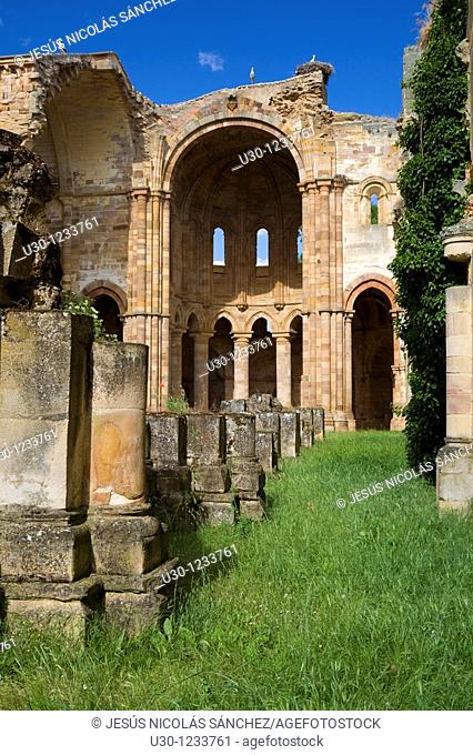 Ruins of the cistercian monastery of Moreruela, in Granja de Moreruela  Zamora  Castilla y León  Spain