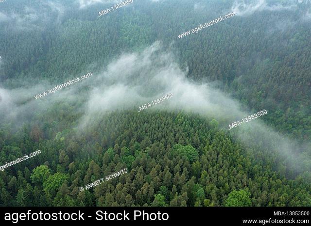 Fog in the Saale valley after a thunderstorm near the Leuchtenburg