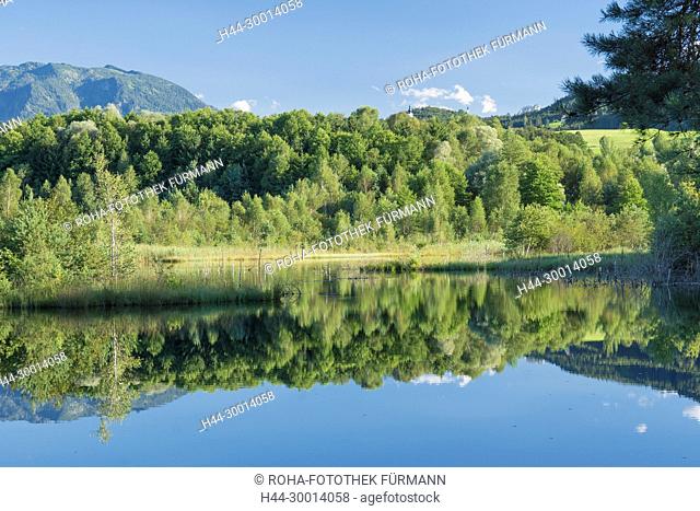renaturierte Fläche mit Moosee im Ainringer Moor mit Ulrichshögl - im Berchtesgadener Land (Rupertiwinkel)