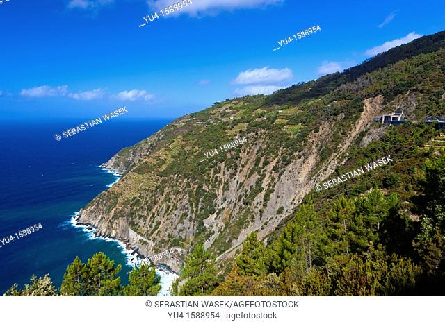 Vineyards over Riomaggiore, Cinque Terre National Park, UNESCO World Heritage Site, Liguria, Italy, Mediterranean, Europe