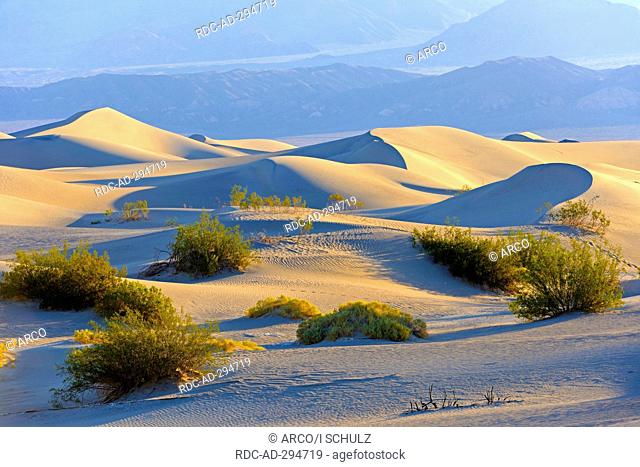 Mesquite Flat Sand Dunes, Death Valley National Park, California, USA / morning light