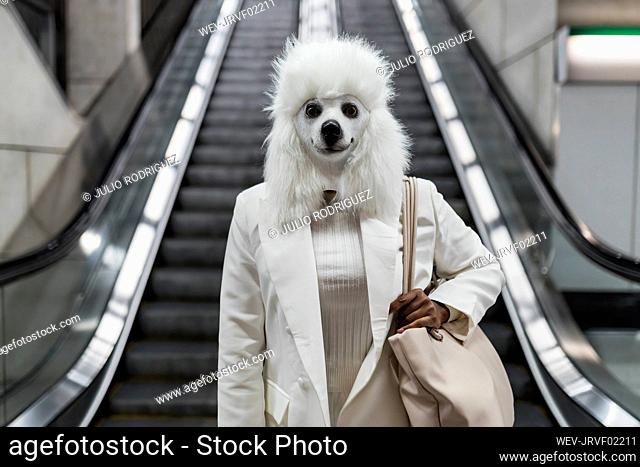 Woman wearing white dog mask carrying shoulder bag in front of escalator