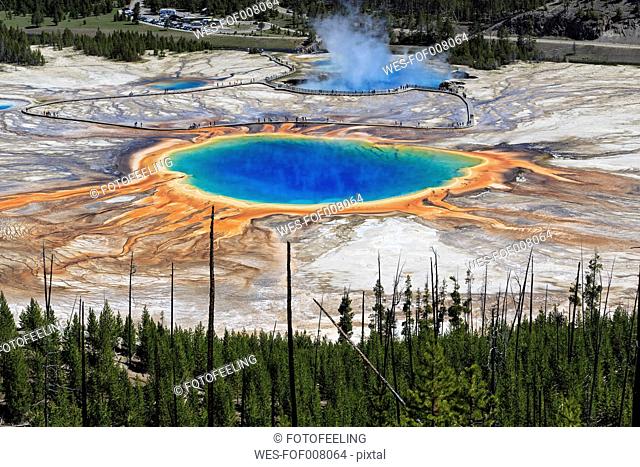 USA, Yellowstone National Park, Lower Geyser Basin, Midway Geyser Basin, Grand Prismatic Spring, elevated view