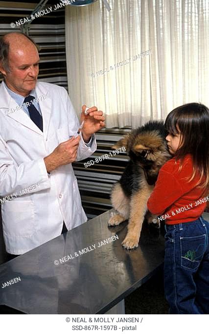 Male veterinarian examining a dog with a girl