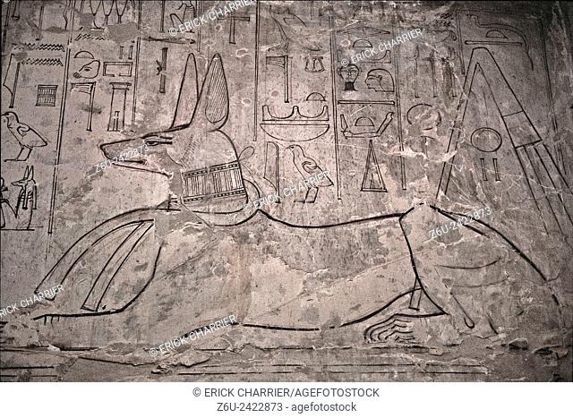 Thebes, West Bank, Kings Valley, Seti I tomb (KV17). Anubis