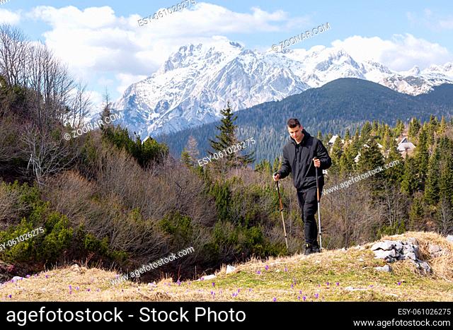 Casual and active healthy man hiking in Alpine mountains with trekking poles