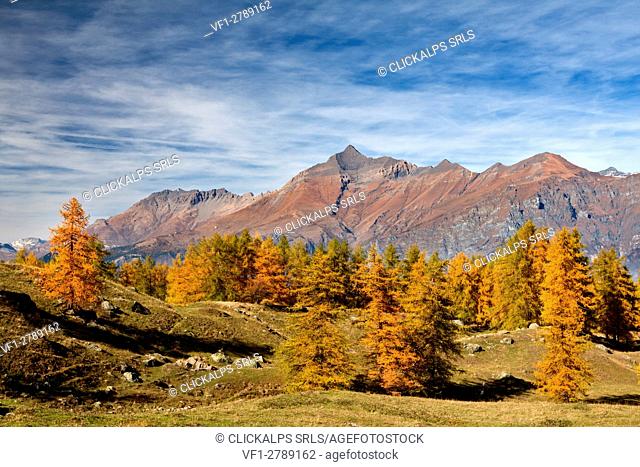 Orsiera Rocciavre Park, Susa Valley, Turin, Piedmont, Italy. Autumn Orsiera Rocciavre Park