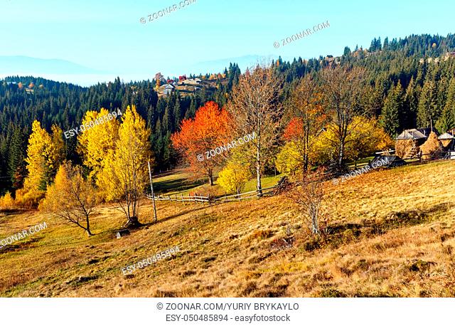 Autumn Carpathian village landscape (Ivano-Frankivsk oblast, Ukraine). Rural scene