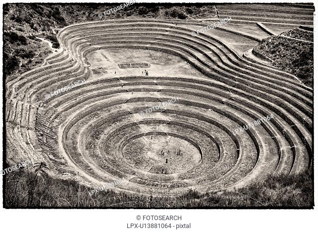 Monochrome aerial view of Moray Inca agricultural terraces in large circular patterns, Maras, Sacred Valley, Peru