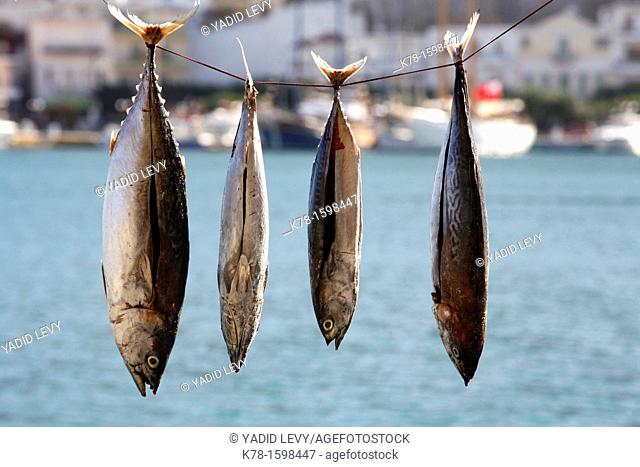 FFreshly cought fish, Kalymnos, Greece
