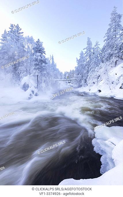Rapids in the Kitkajoki River from the Myllykoski old mill at Oulanka National Park (Myllykoski, Juuma, Kuusamo, Lapland, Finland, Europe)