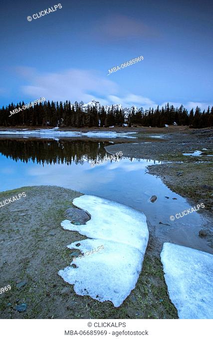 The spring thaw melts ice while woods are reflected in Lake Palù Sondrio Malenco Valley Valtellina Lombardy Italy Europe